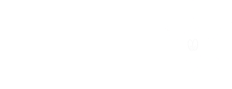 Twinkling Stars Play School